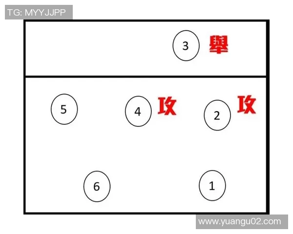 武汉排球队控制打法深度分析与战术解读探讨