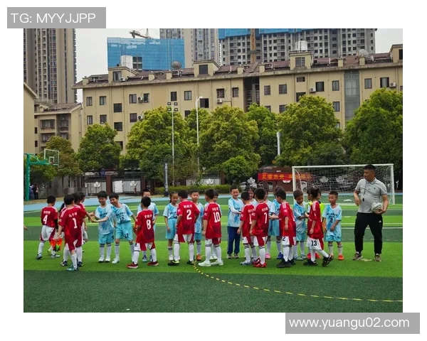 武汉足球队的崛起与挑战聚焦这座城市的足球力量与未来发展